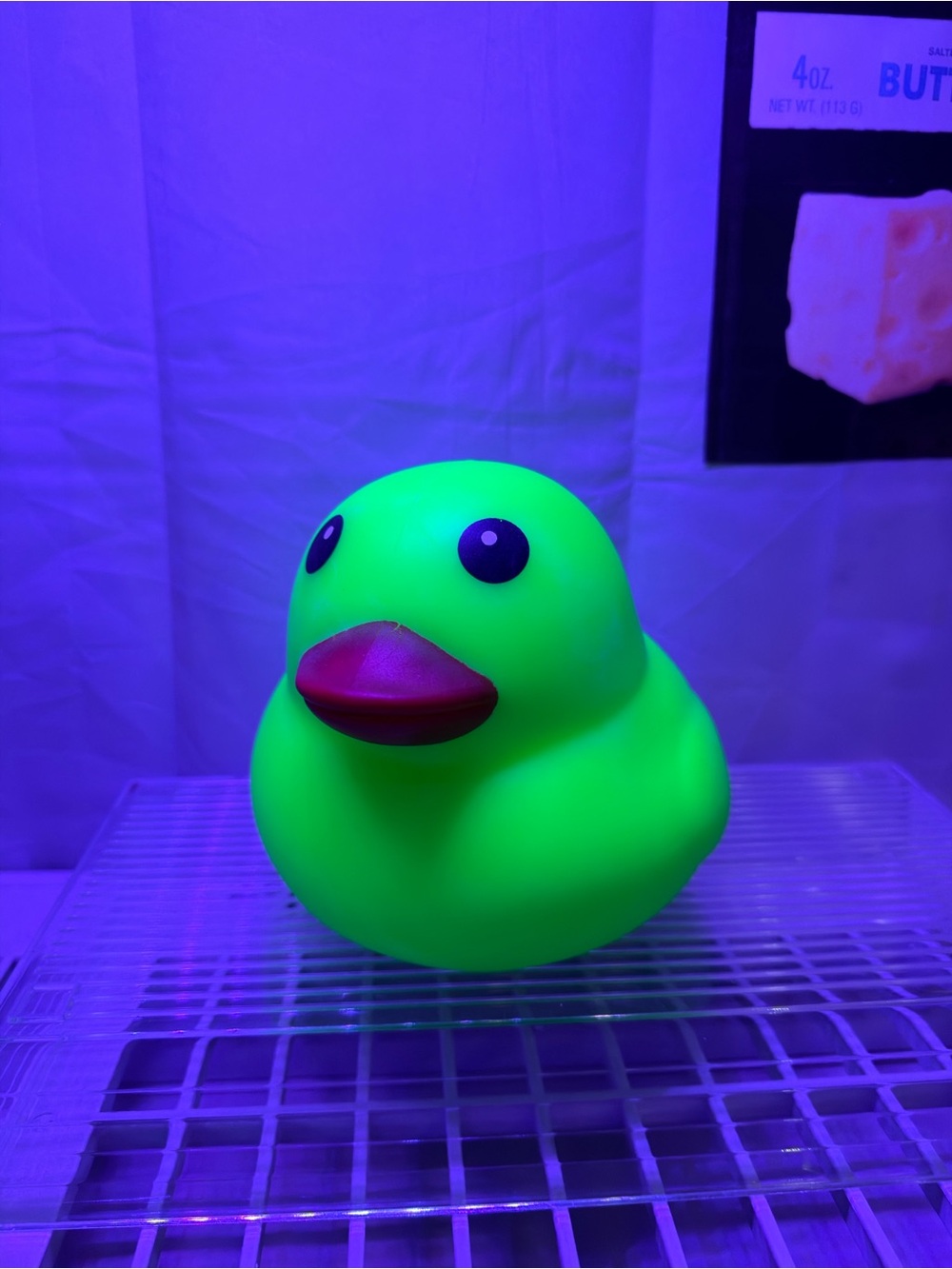 Sunny Days- Jumbo Duck Squishy